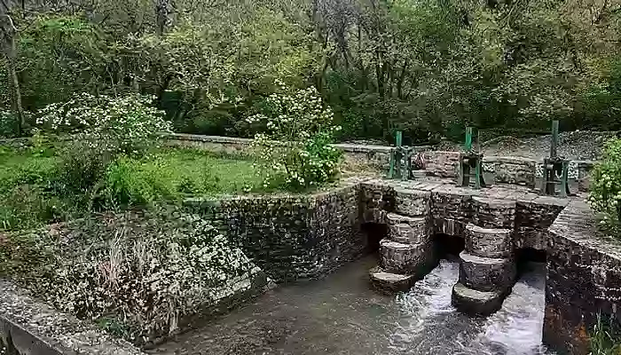 dachigam