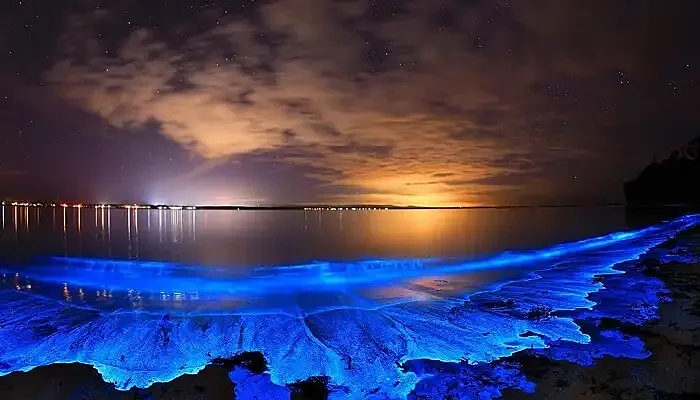 Bioluminescent Beach in Vaadhoo Island in Maldives