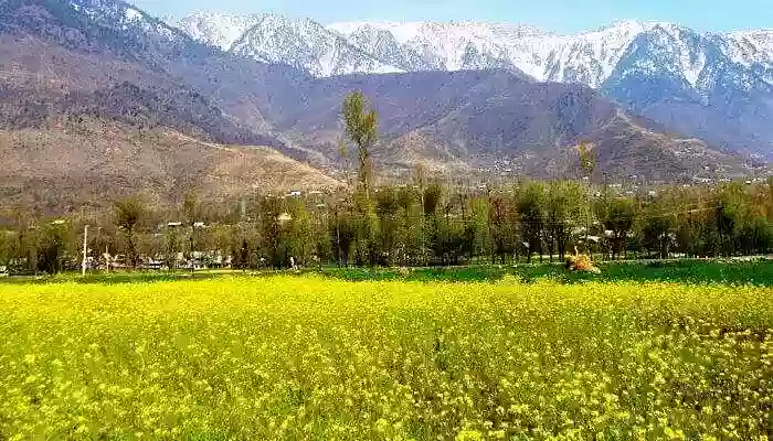 Pulwama - The city of colorburst