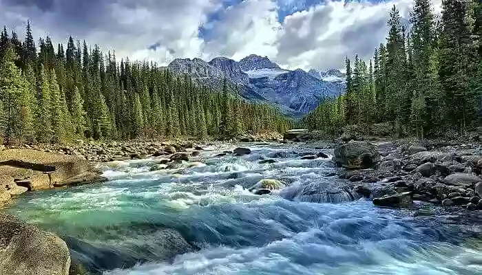 The scenic vistas of  Swiss National Park