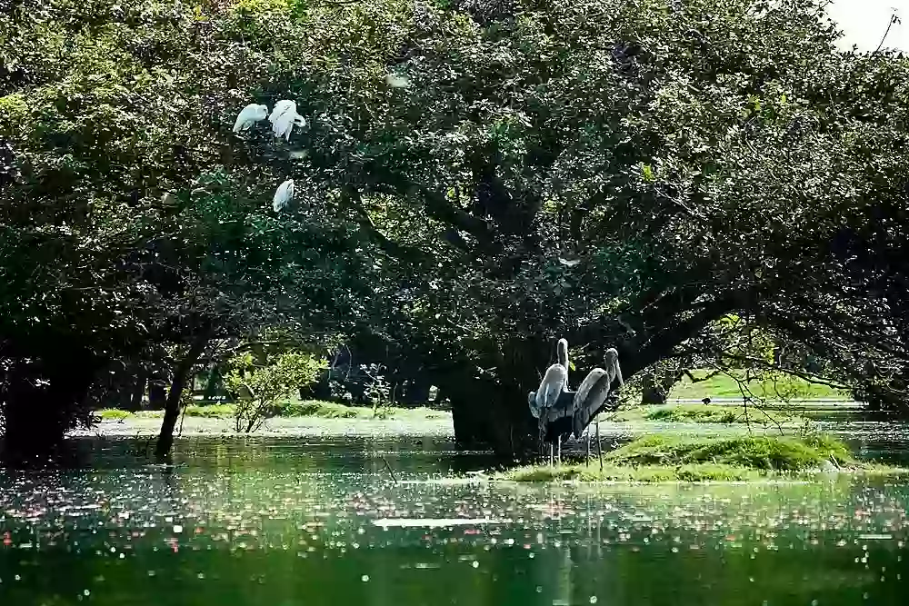 Vedanthangal Tourism