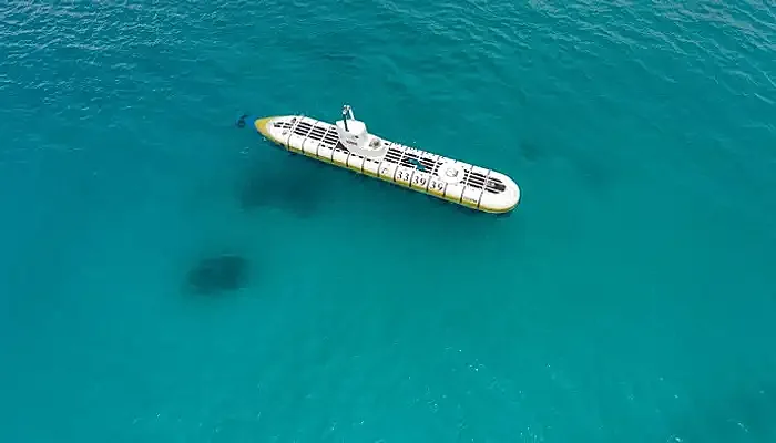 Whale Submarine