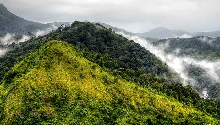 Silent Valley National Park – Soaking In The Nature And Silence Silent Valley National Park – Soaking In The Nature And Silence