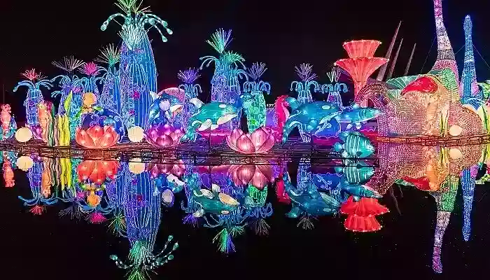 dubai-garden-glow