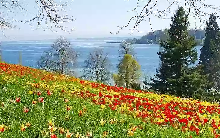 Insel Mainau: the Flower Island of Lake Constance